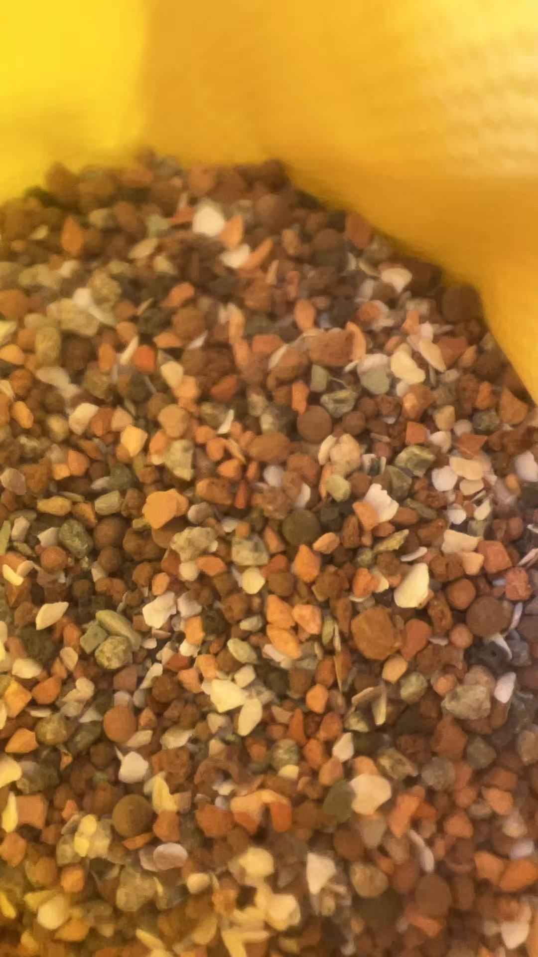 多种保健沙混合而成