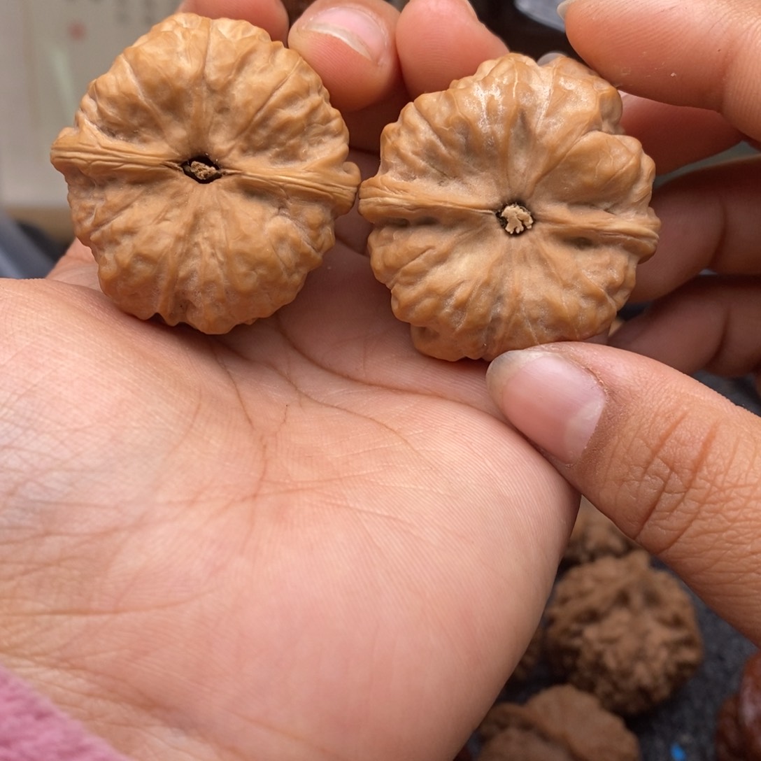 文玩核桃把件37.5蛤蟆头