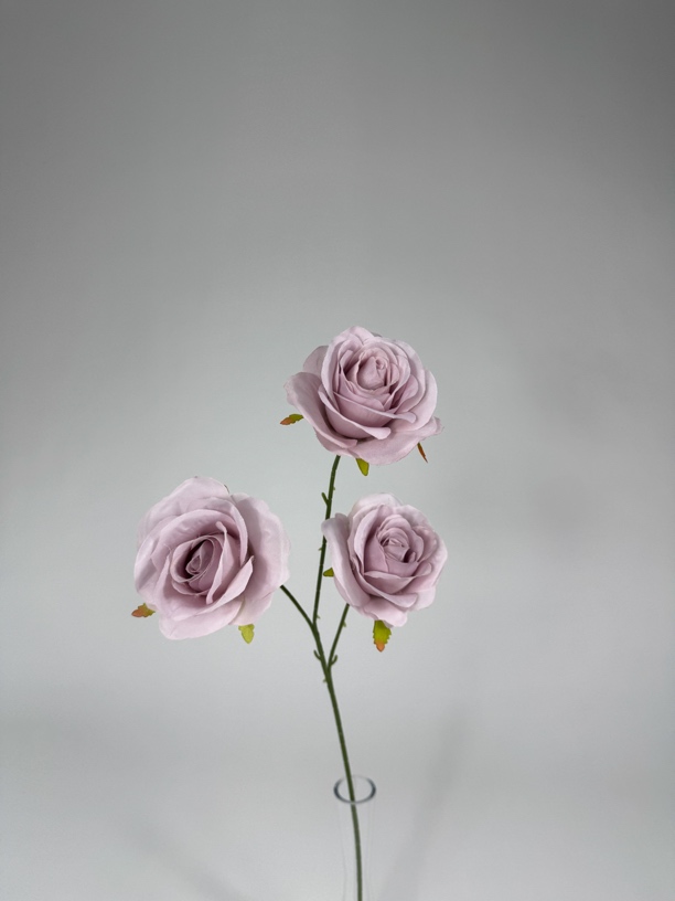 三头保加利亚大玫瑰10枝，颜色联系客服备注