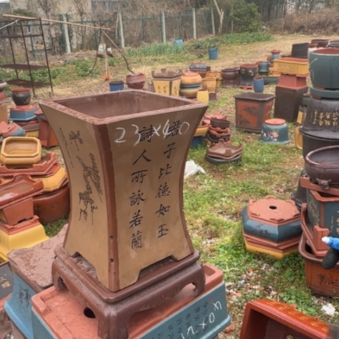 红陶紫砂花盆盆景盆栽