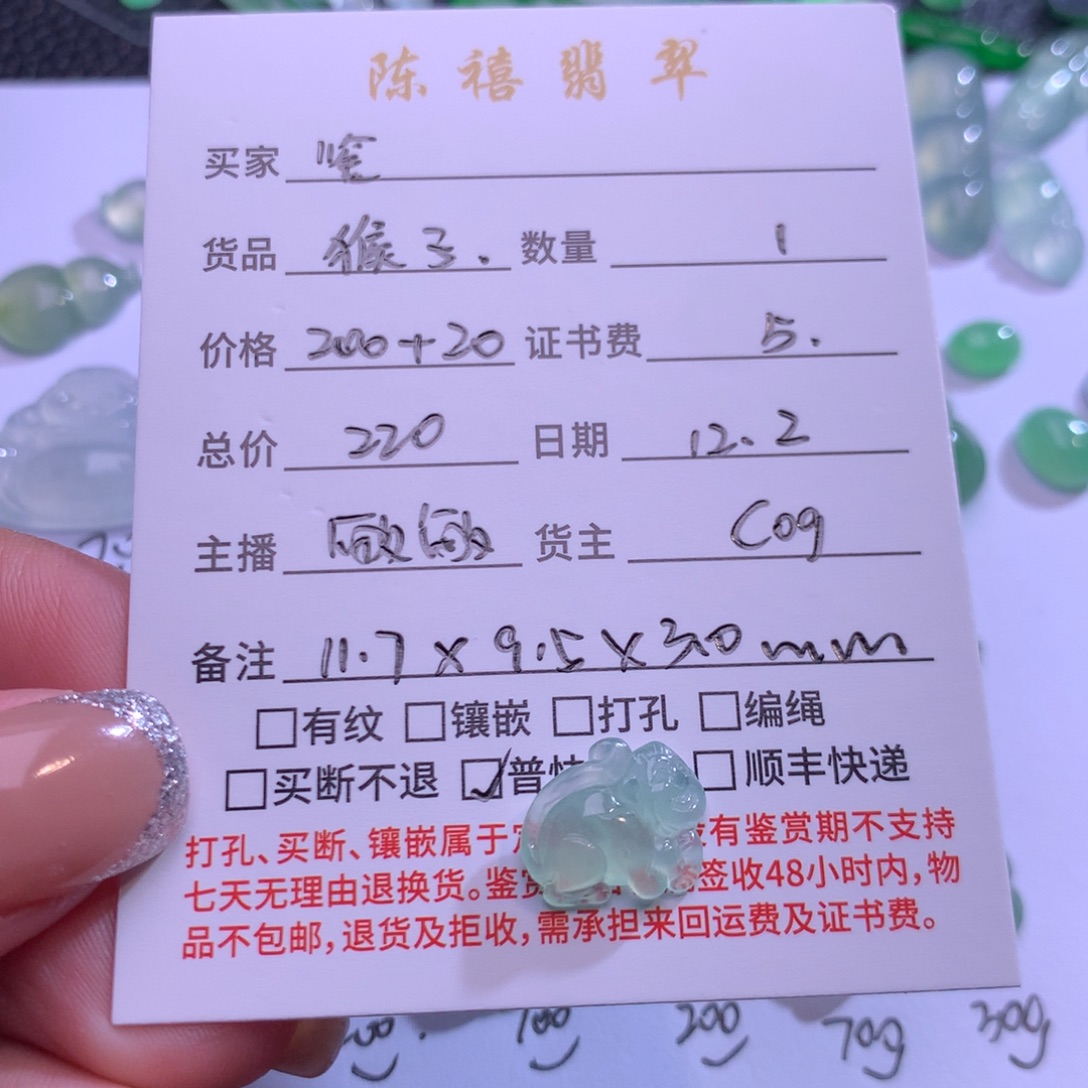 鉴***藏翡翠未镶嵌吊坠(不含链)翡翠吊坠