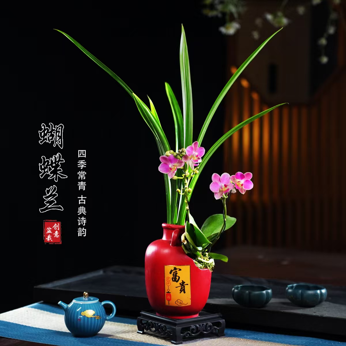 香多多蝴蝶兰盆栽四季常青花卉茶桌面净化空气花办公室内绿植