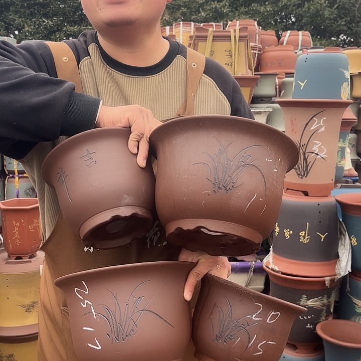 紫砂紫砂花盆盆栽