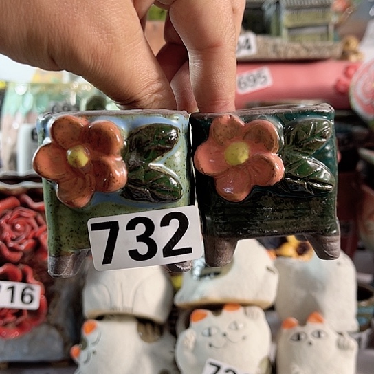 红陶多肉植物花盆