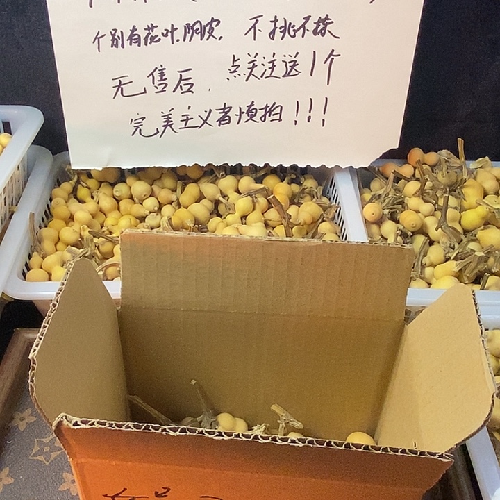 葫芦草里金葫芦先葫芦