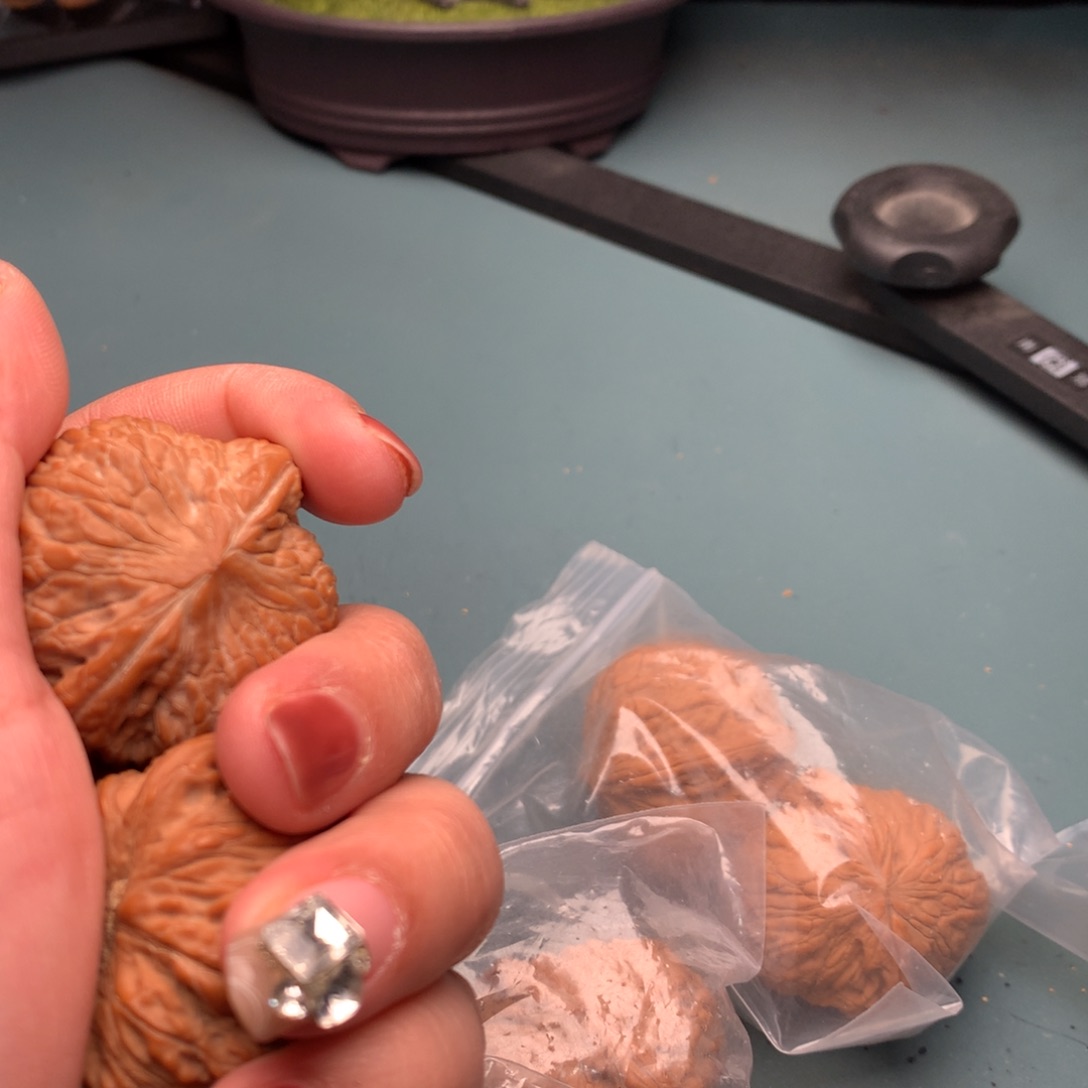 文玩核桃把件全品绣球3839