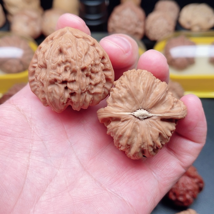 文玩核桃把件三角白狮子39×40×35