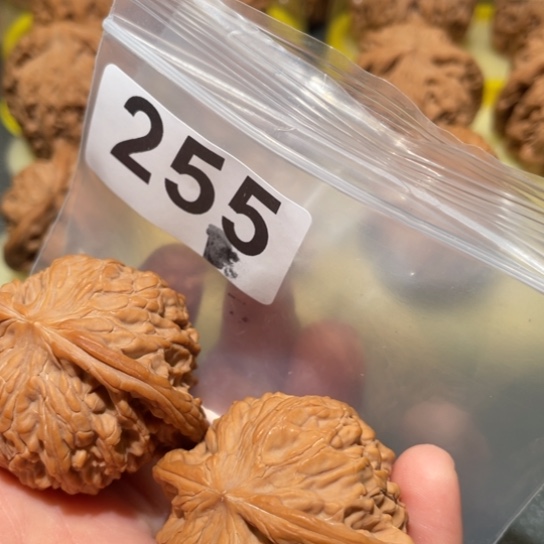 小***鹤文玩核桃把件磨盘42