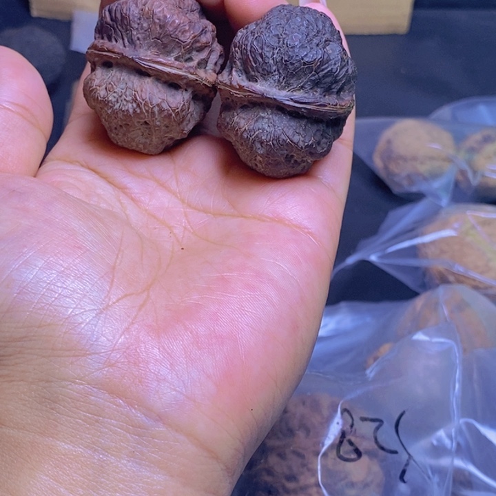 把件文玩核桃19-41mm