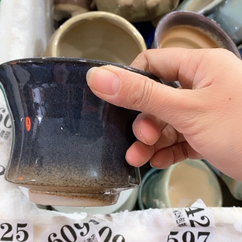 【闪购商品】红陶口11