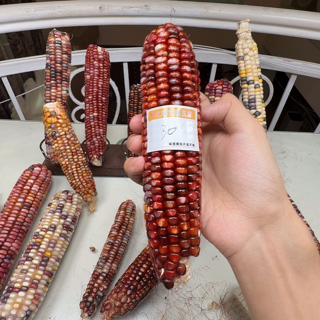 S***_大叶紫檀（黑酸枝木类）