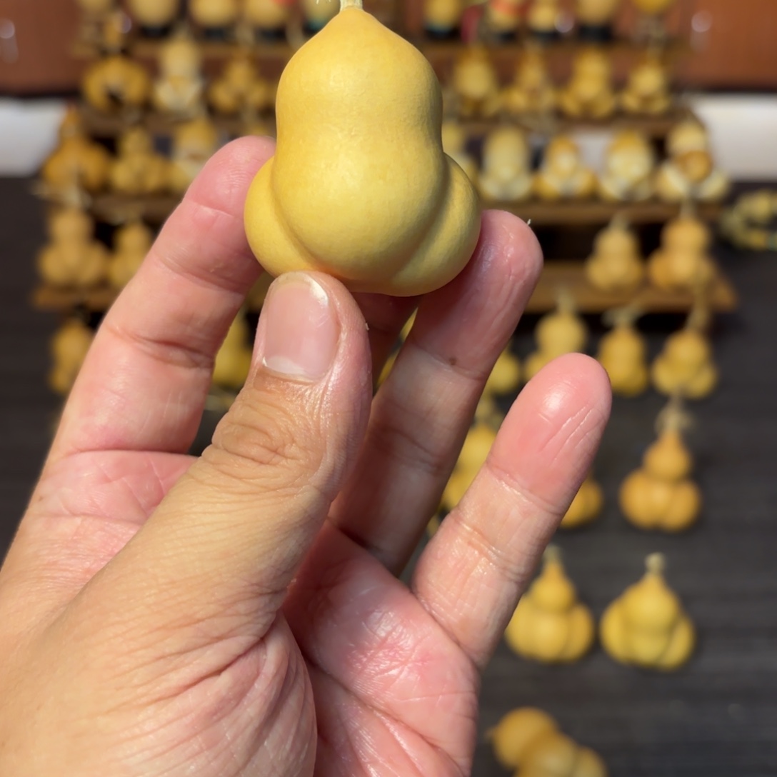 向***阳葫芦葫芦葫芦葫芦