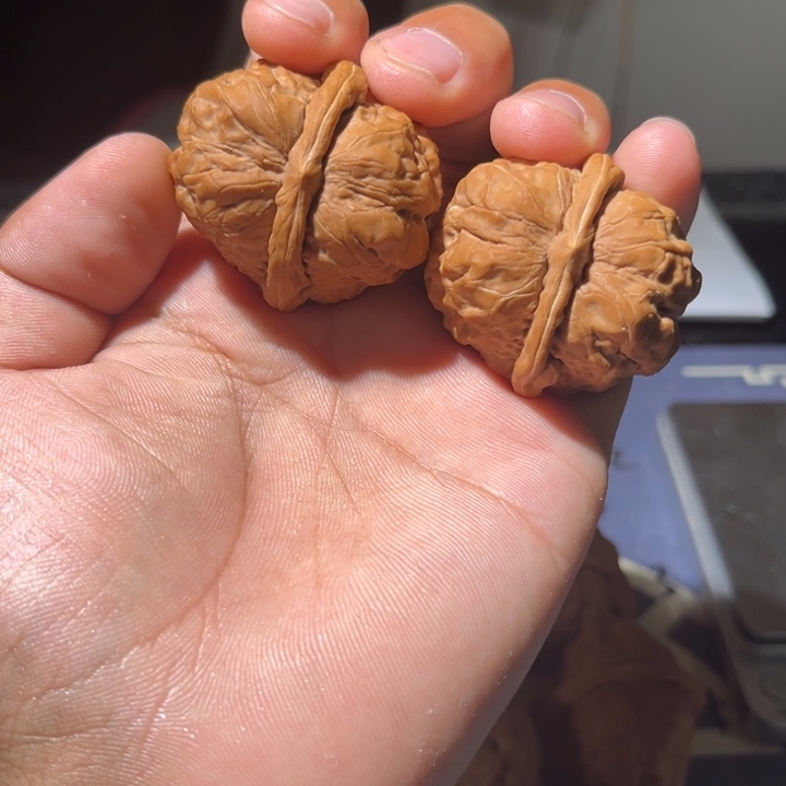 文玩核桃吊坠蛤蟆40全品