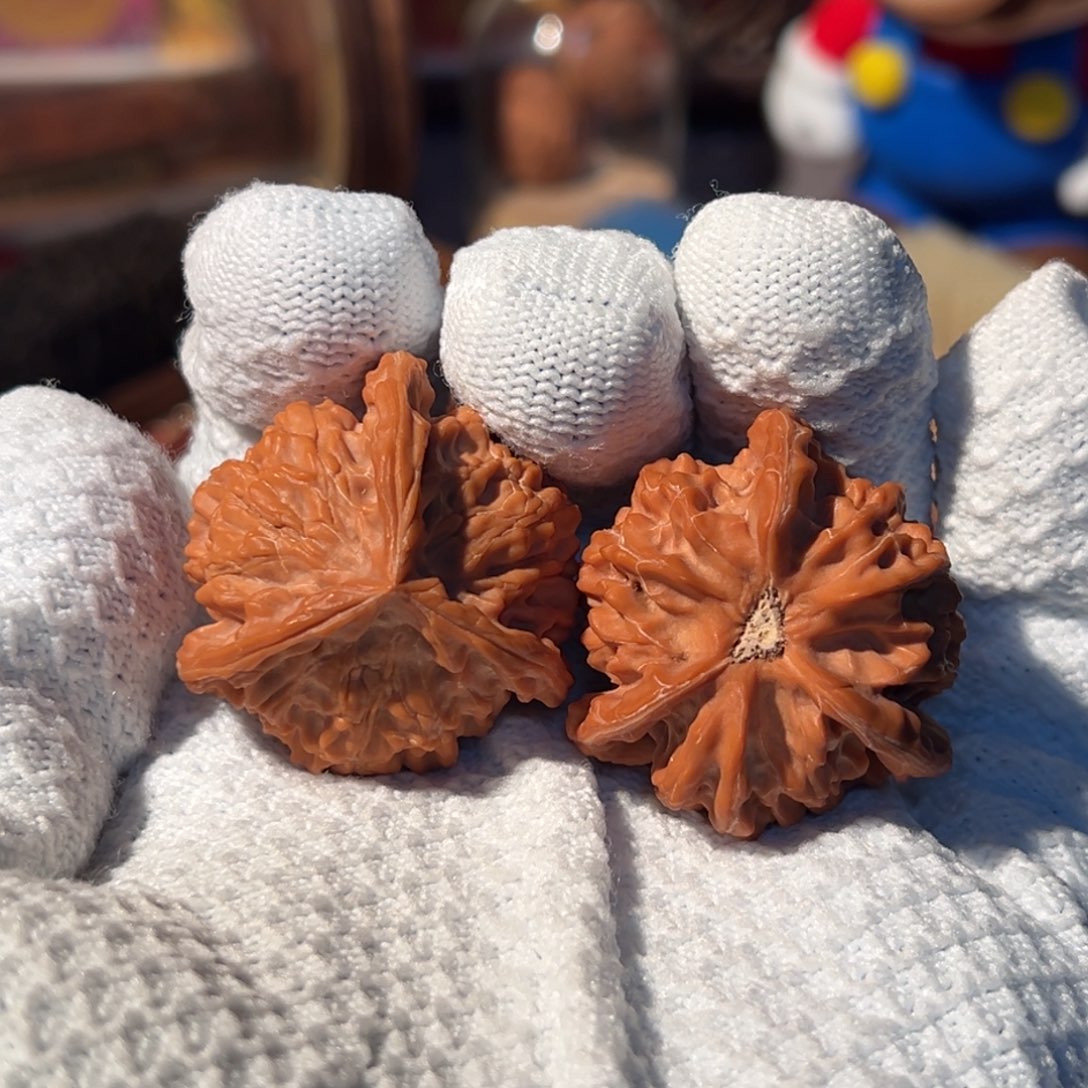 文玩核桃把件全品盘山肉球正奔37