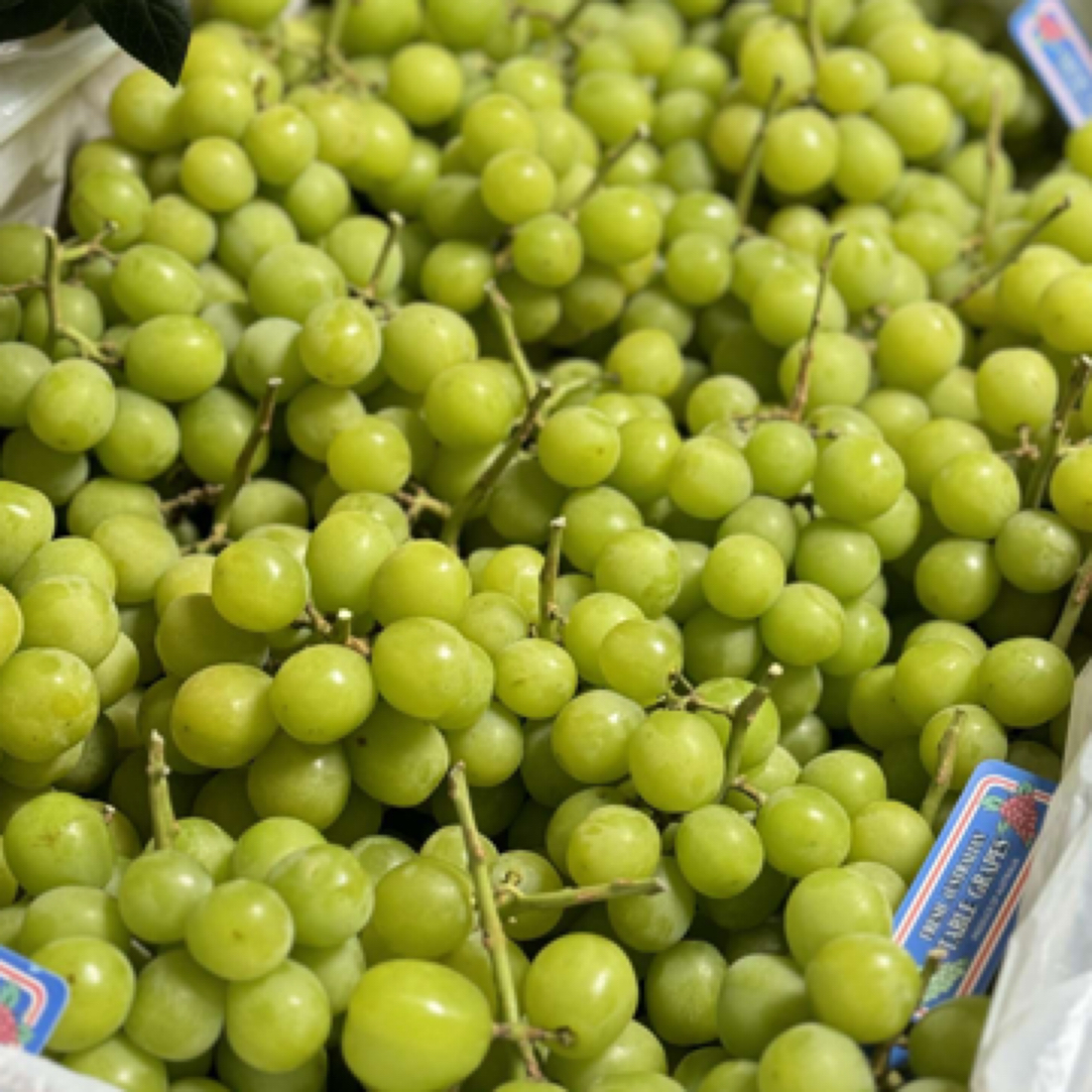 澳洲玉湖青提2斤装无籽脆甜