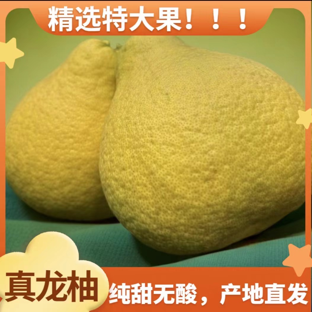 【礼盒装】合江真龙柚送礼佳品老树纯甜无酸柚子白心柚子非沙田柚子
