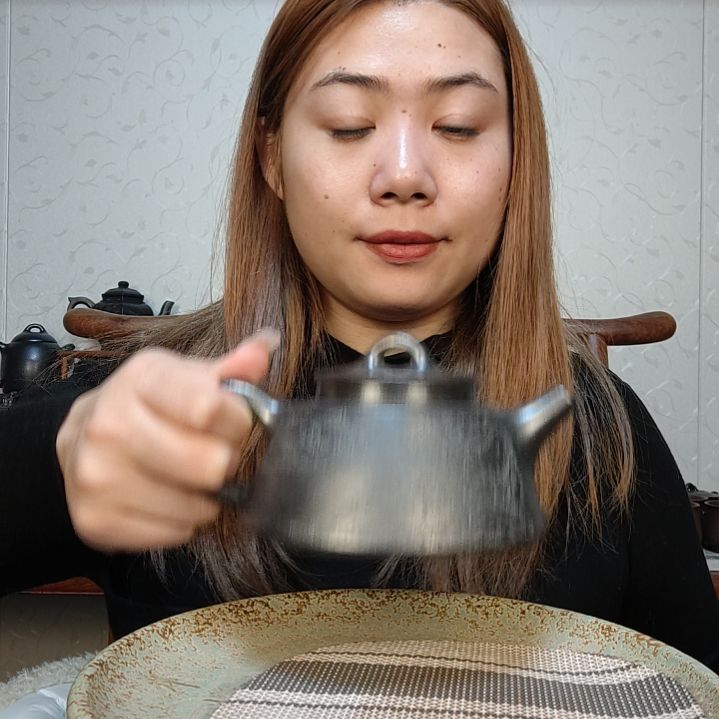 朱泥茶壶鱼罩260毫升