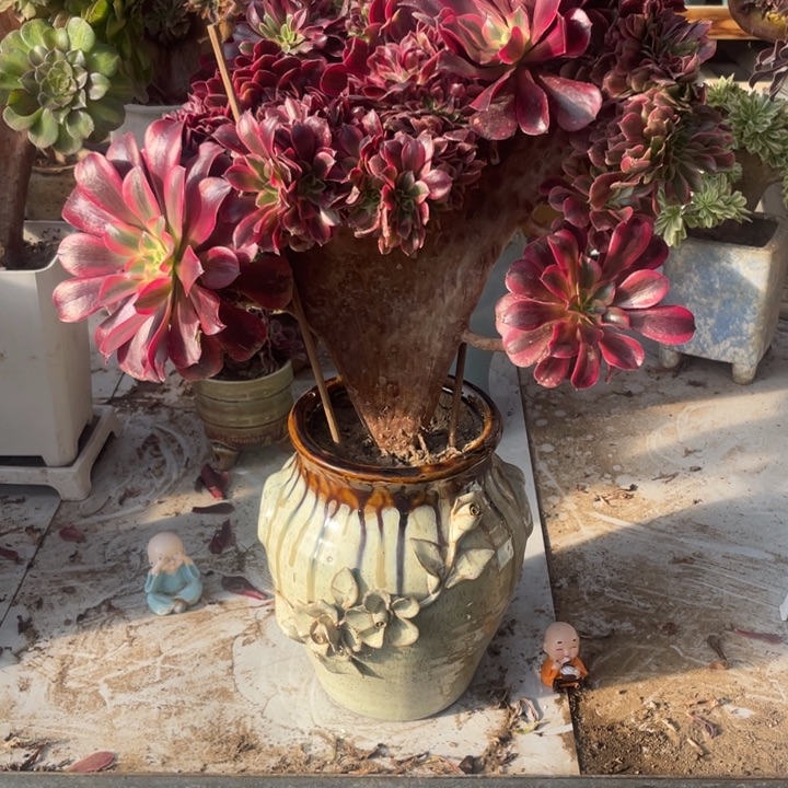 二***姐1088，美杜莎缀包邮