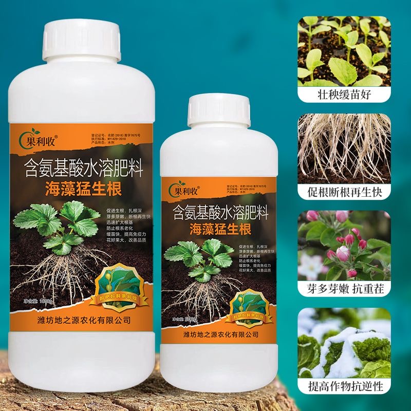 海藻猛生根强生根壮苗剂生根液移栽扦插果树蔬菜花卉通用肥料