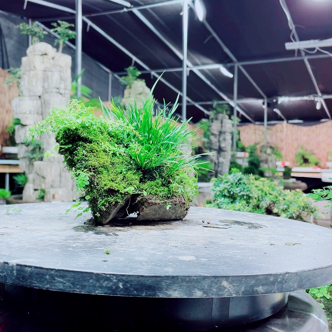 玩***志无花朵我想去找一家小的酒店