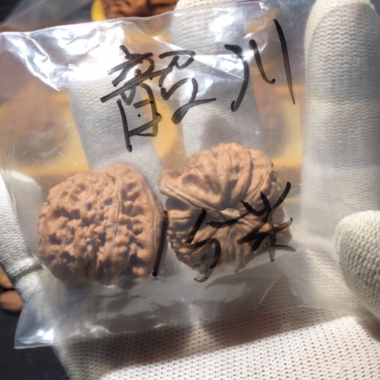 文玩核桃把件韶*白狮子头