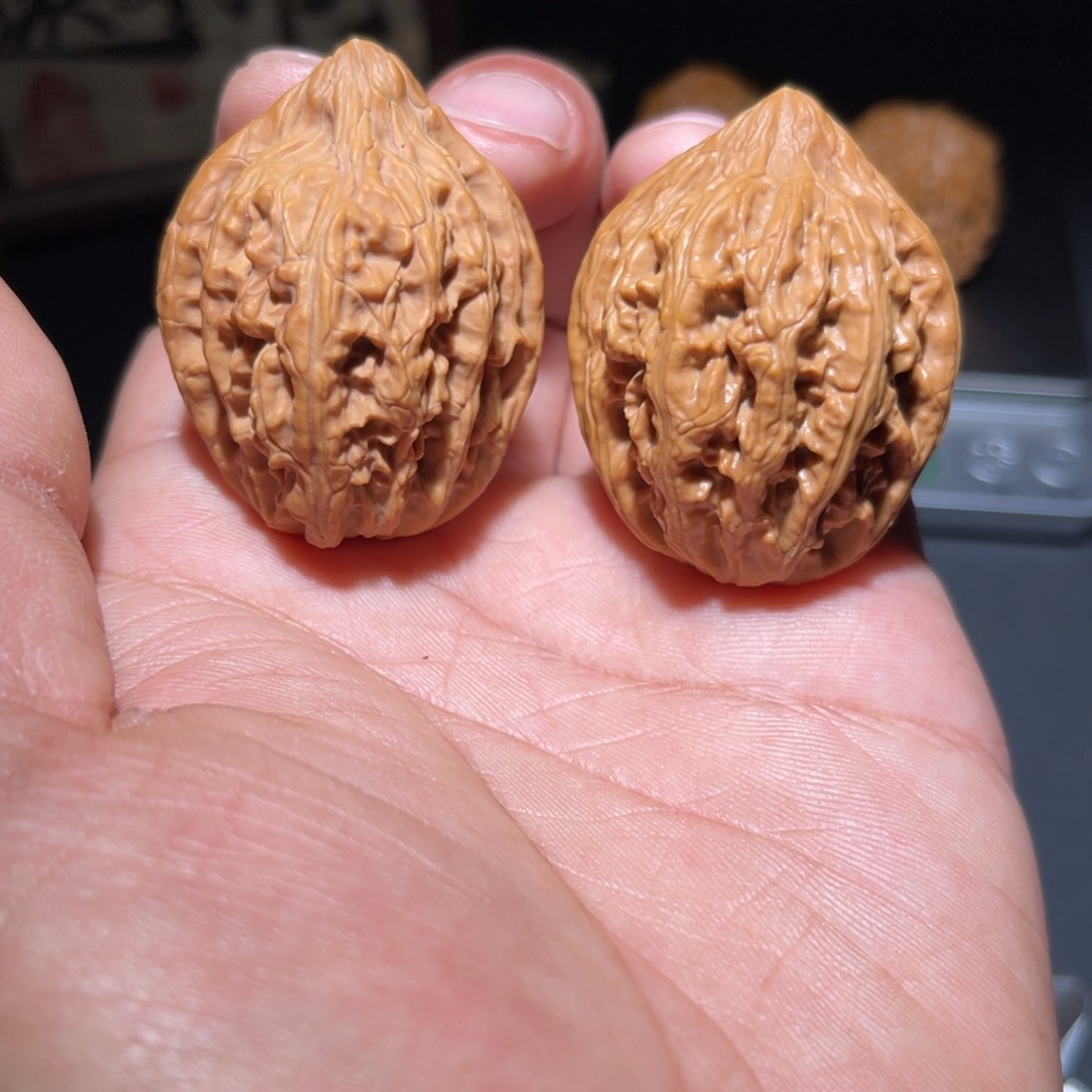 文玩核桃把件36金龙锂
