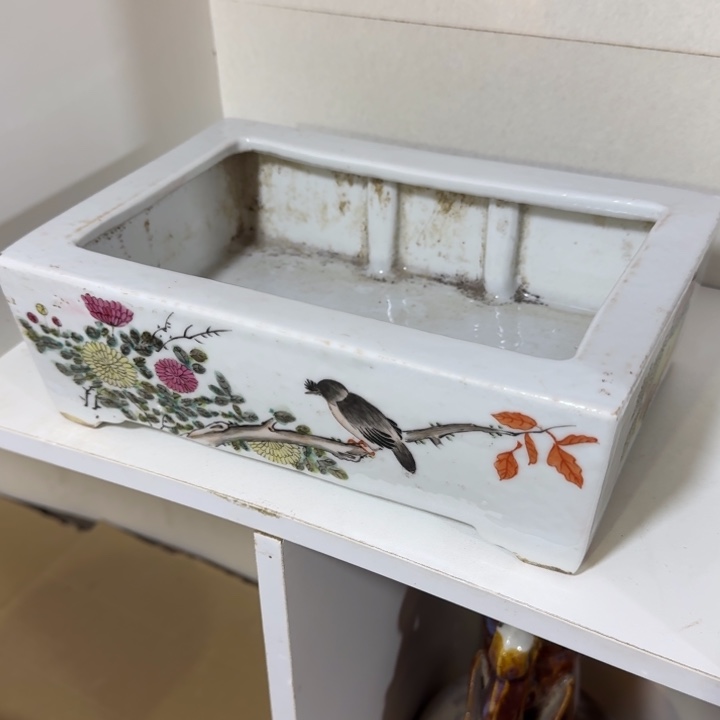 看*了，，，，，，，，，，，，