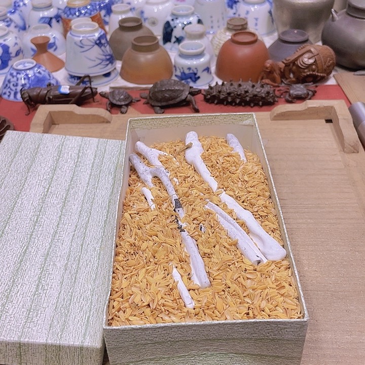 我们都是好孩子啊呜呜