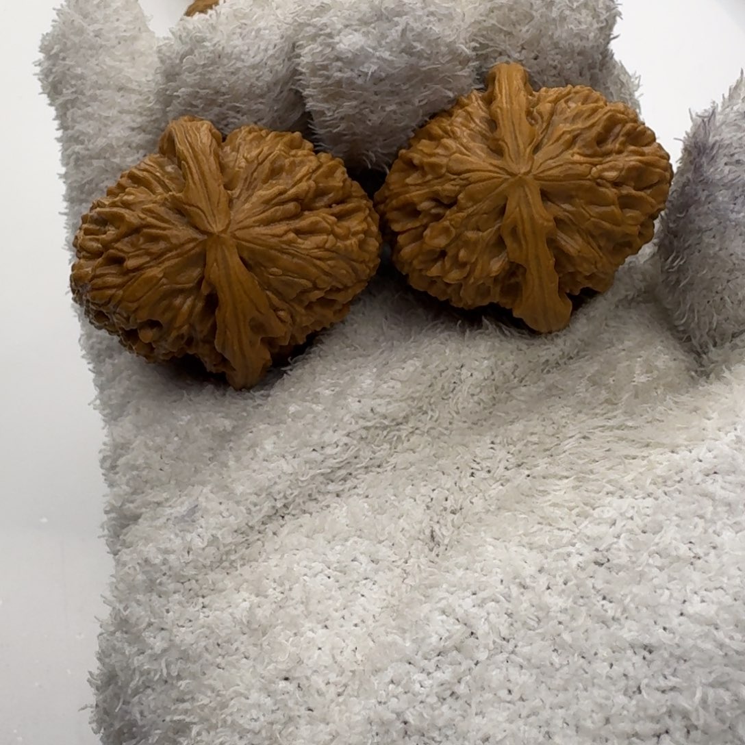 36尺寸有修白狮子