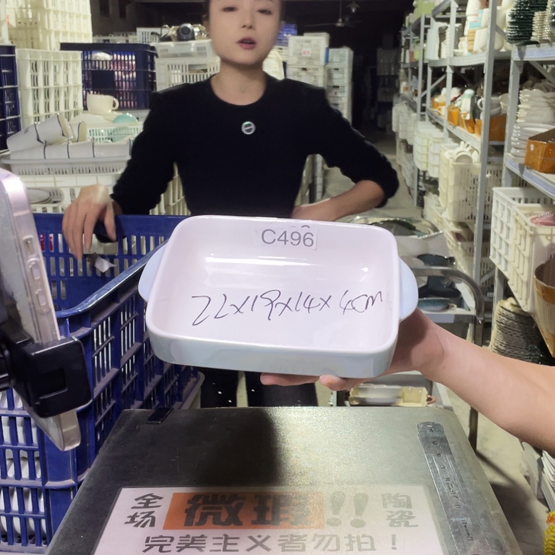 瓷片496         1个