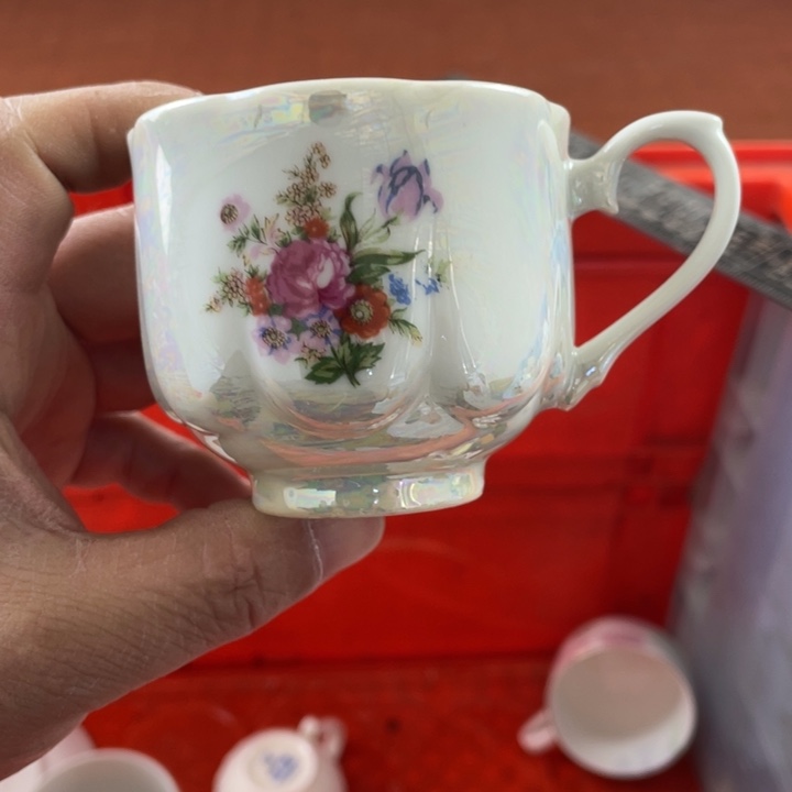 碟开播了开播了开播了