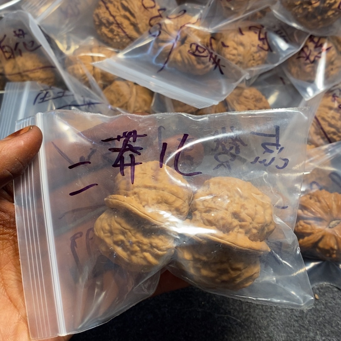 二***儿文玩核桃吊坠蛙蛙