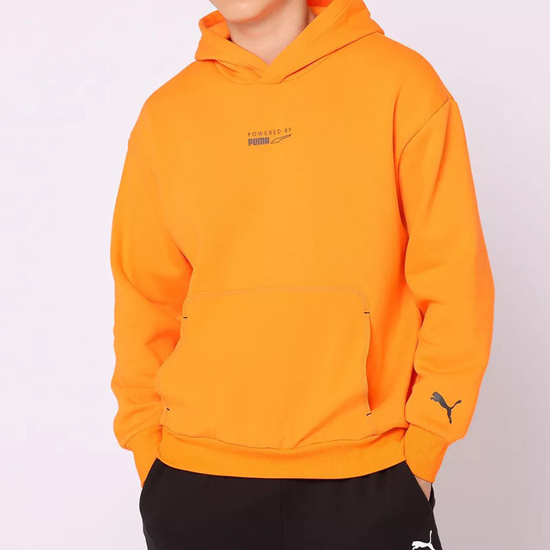 PUMA/彪马男子百搭简约经典休闲运动连帽套头衫卫衣534403