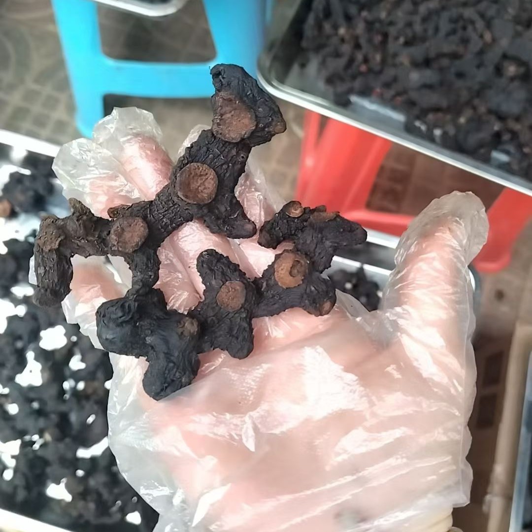 九蒸九晒野生货柴火太阳晒古法原味仙人余粮⑧成干