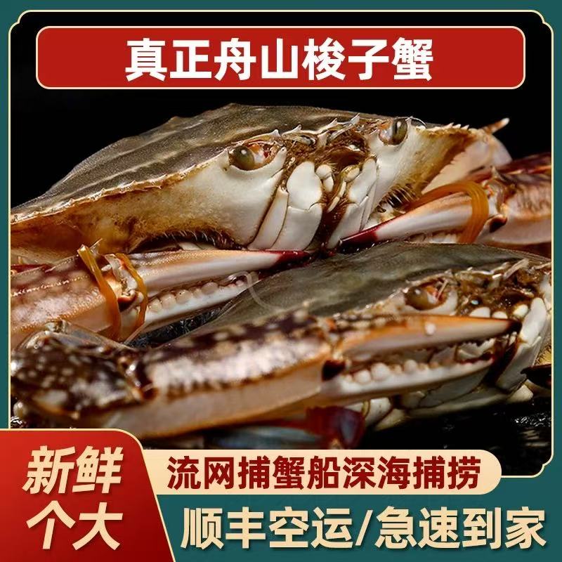 舟山当季海捕梭子蟹 充氧活发6-8两/只 净重3斤/箱【保鲜不保活】