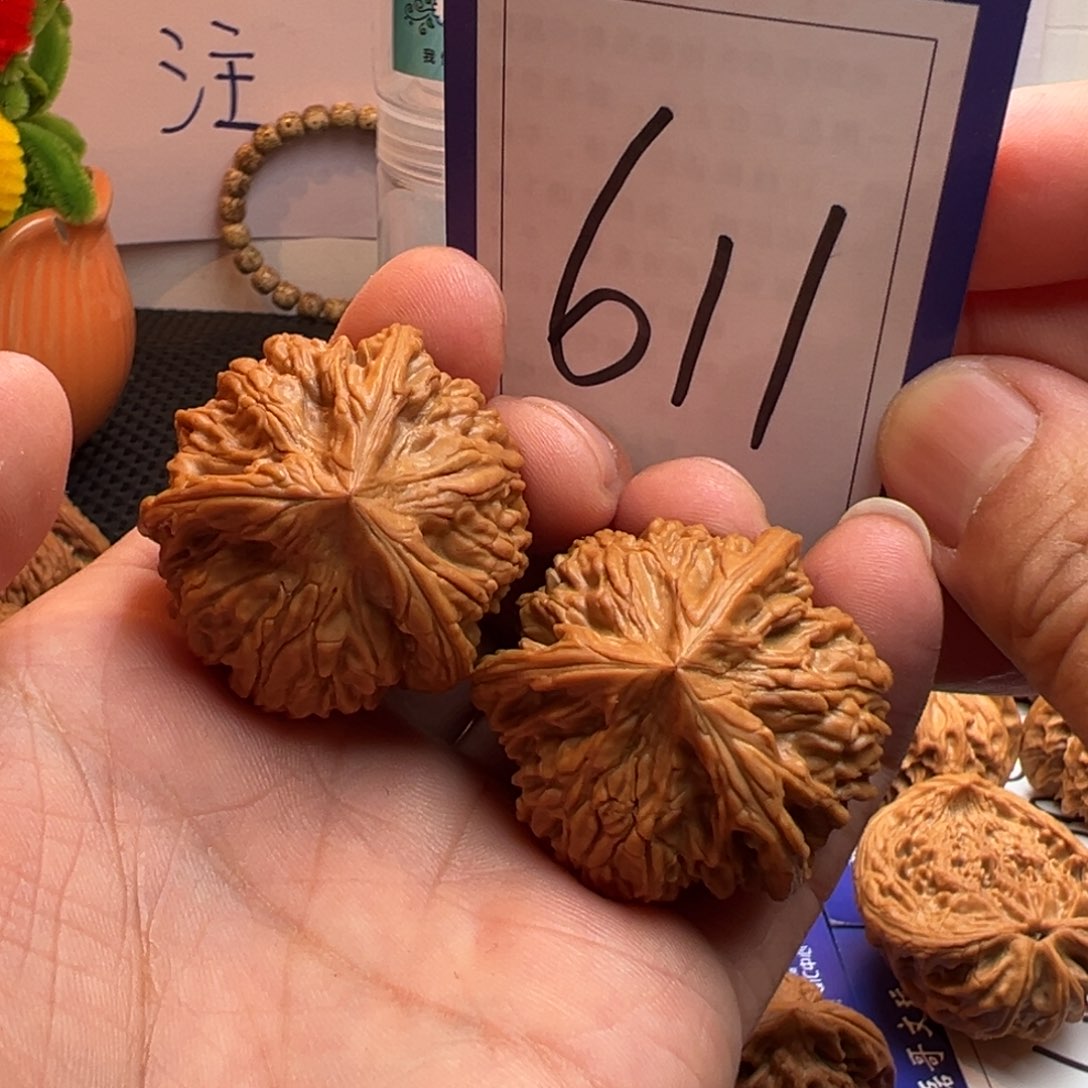 文玩核桃把件全品御龙粗筋三棱38尺寸611号