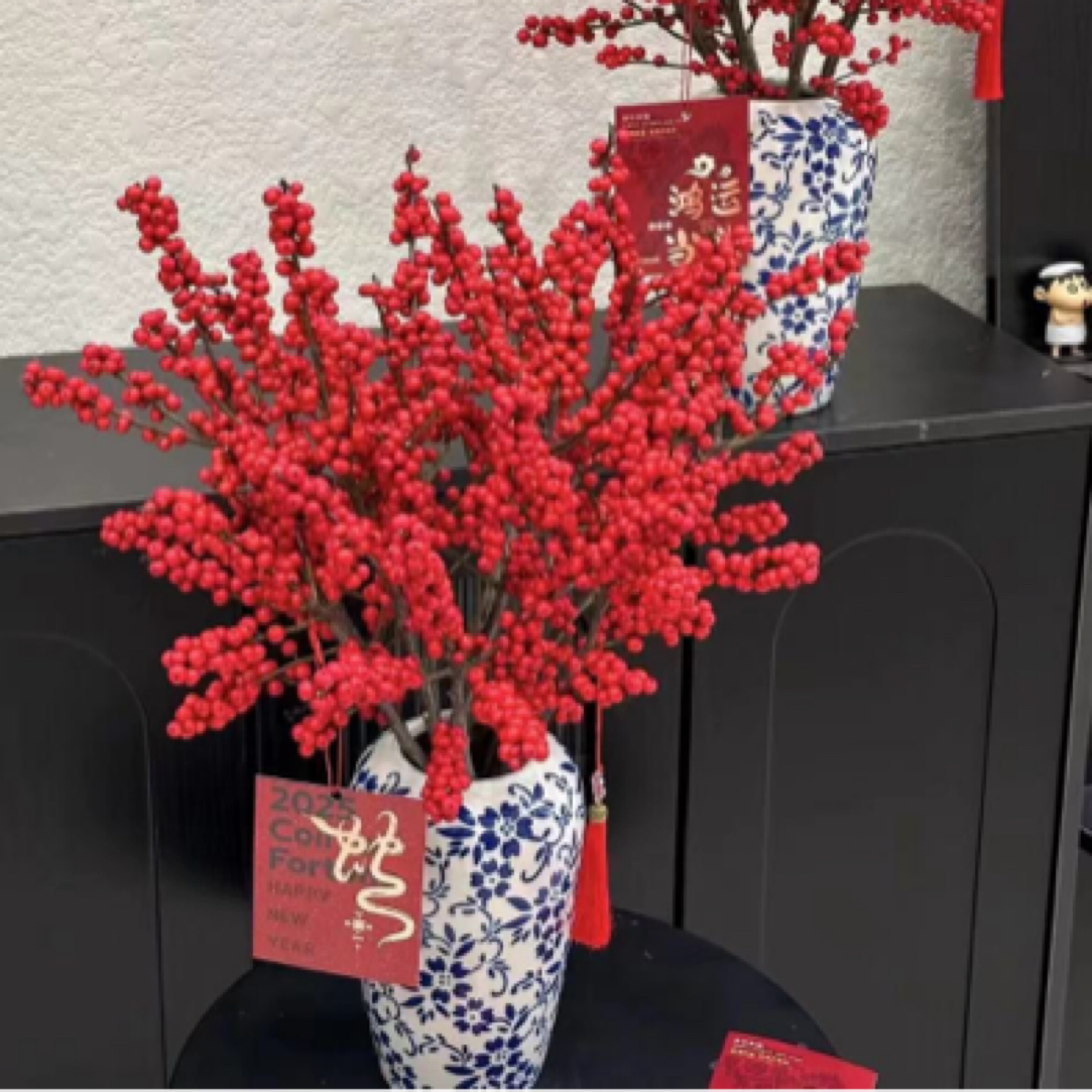 【冬青3枝】红红红火火年宵花