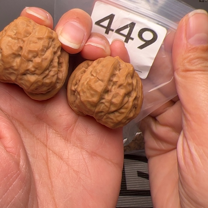 核桃36边37肚4肉蛙449