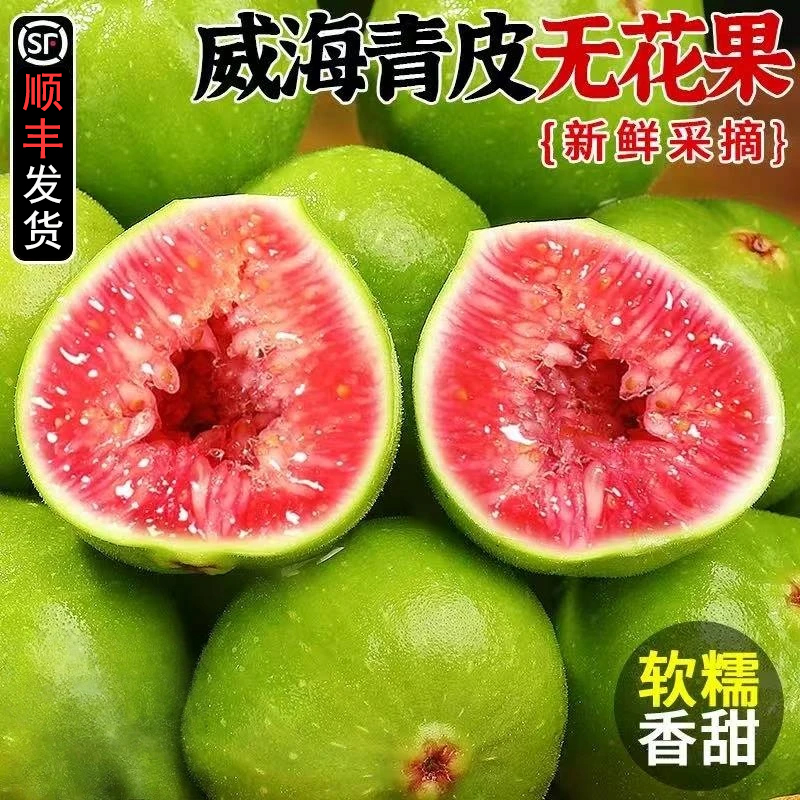 【顺丰鲜果】威海青皮无花果新鲜应季水果孕妇水果9-2S3
