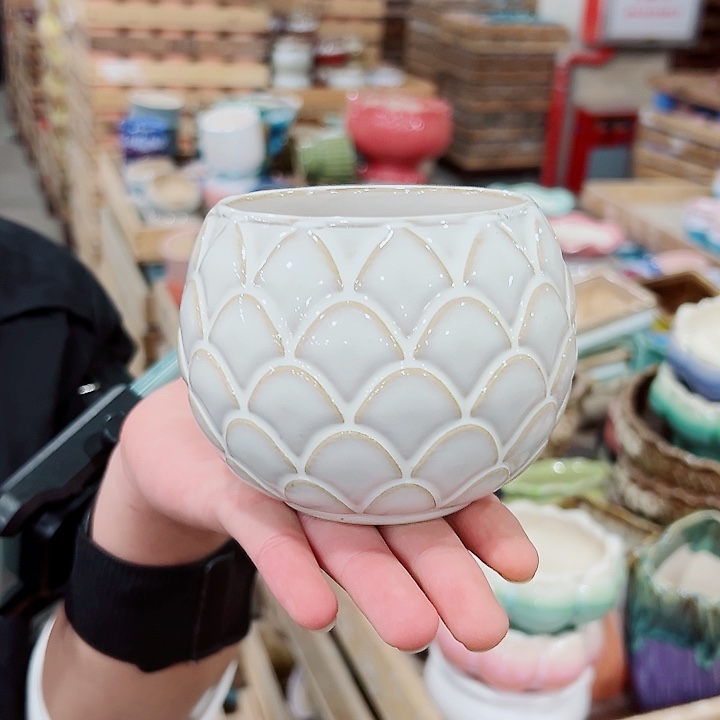 花盆有孔！订单凑满10米包由！