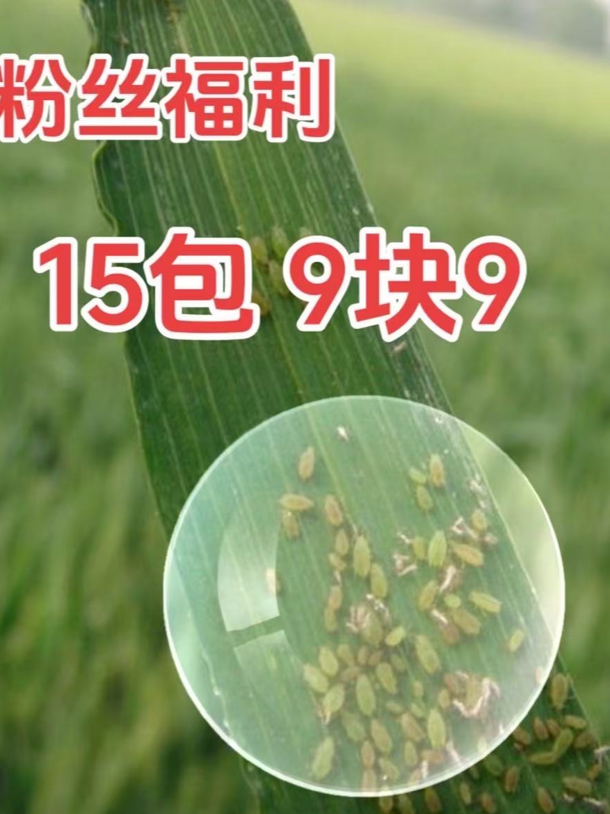 噻 嗪花生玉米蓟马皱缩展叶叶面肥水溶肥料