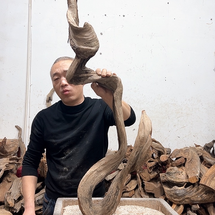 柏木小**艺我们都是好孩子呀我也是想