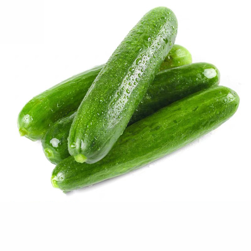 现摘水果黄瓜新鲜包邮小黄瓜青瓜旱生吃脆嫩清甜白玉花瓜蔬菜黄瓜