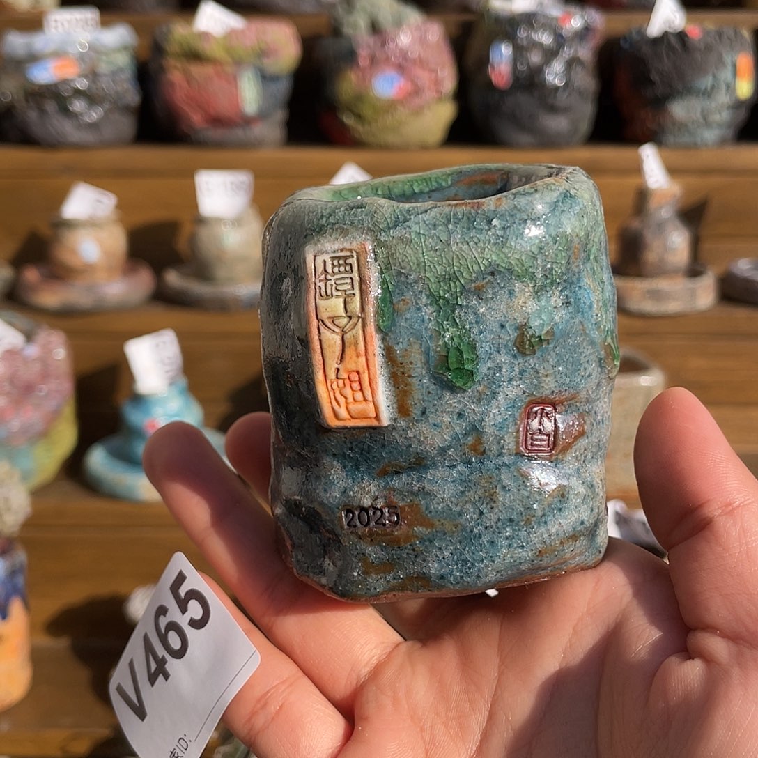 坛子姐花盆 小白孤品  高方内口4.2