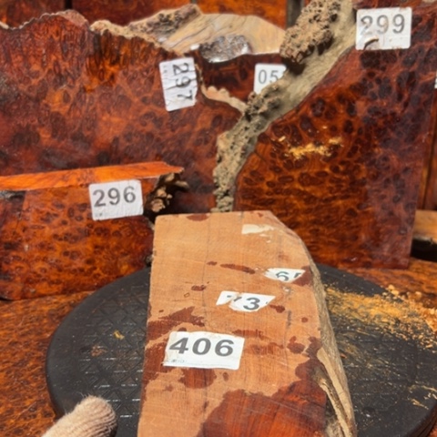 大果紫檀（缅甸花梨）