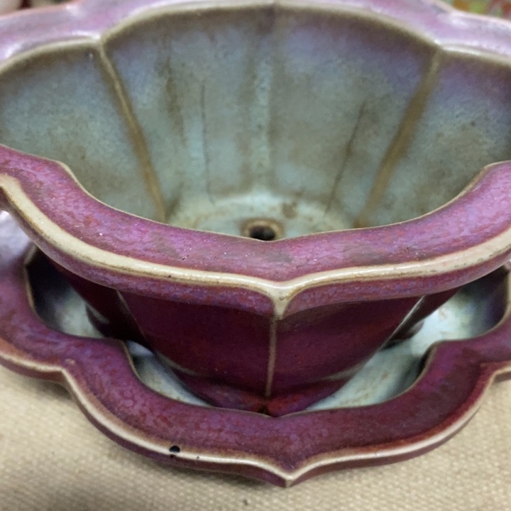 d***x瓷器新疆西藏海南不包邮