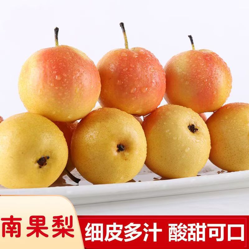 正宗鞍山南果梨海城南国梨东北小香水梨酒香新鲜水果当季阳面果