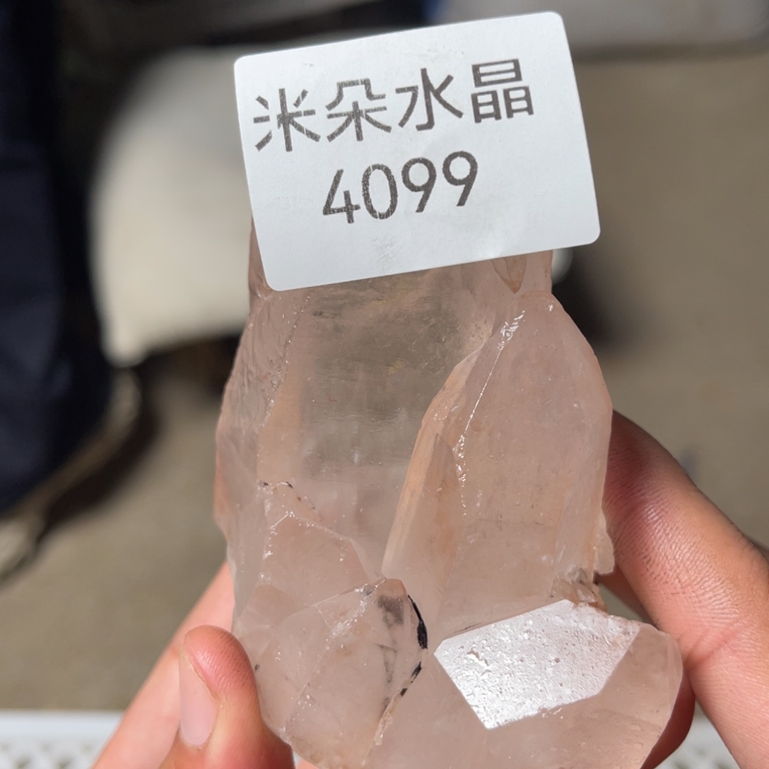 熊***二未镶嵌珠宝半成品水晶