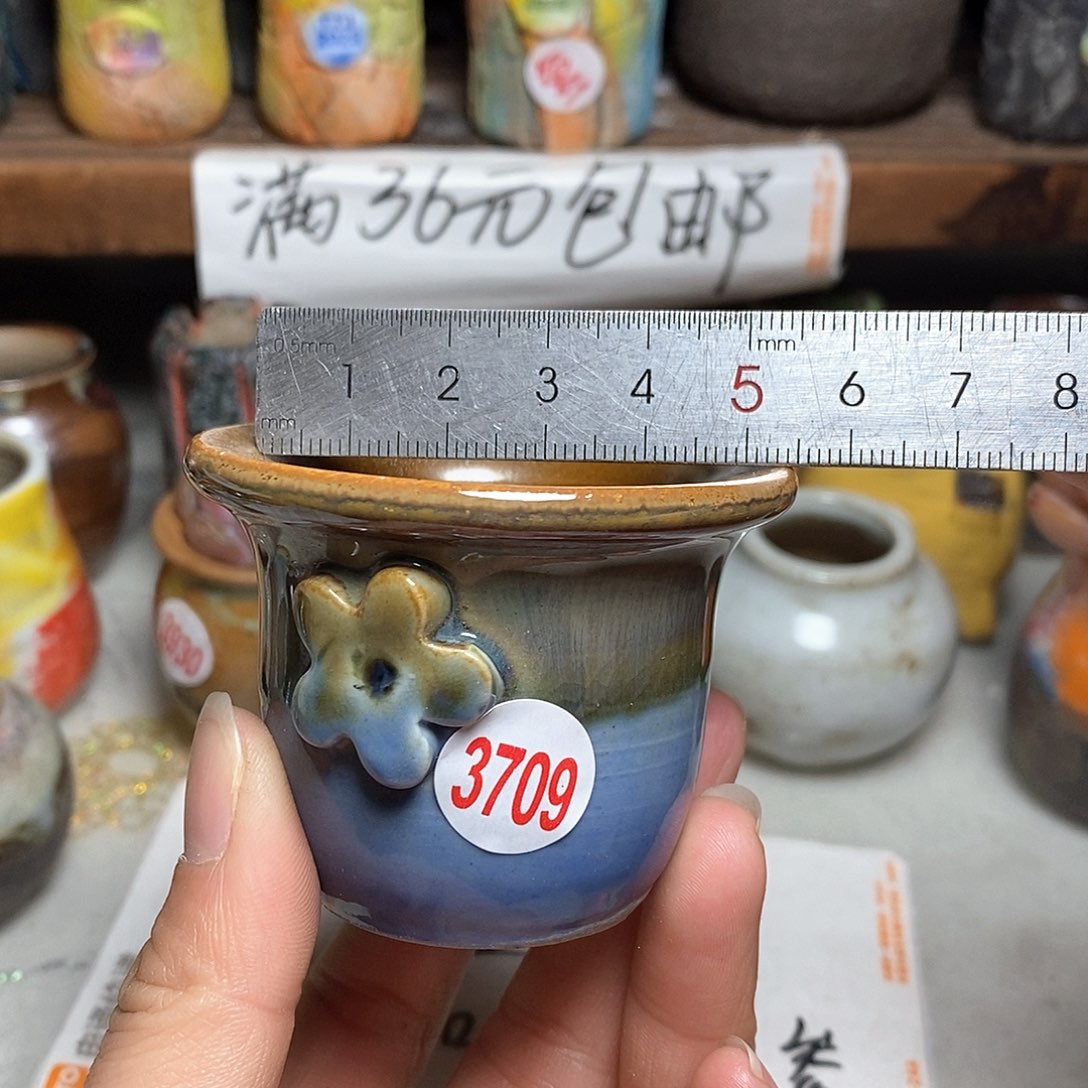 红陶拍5送一个小