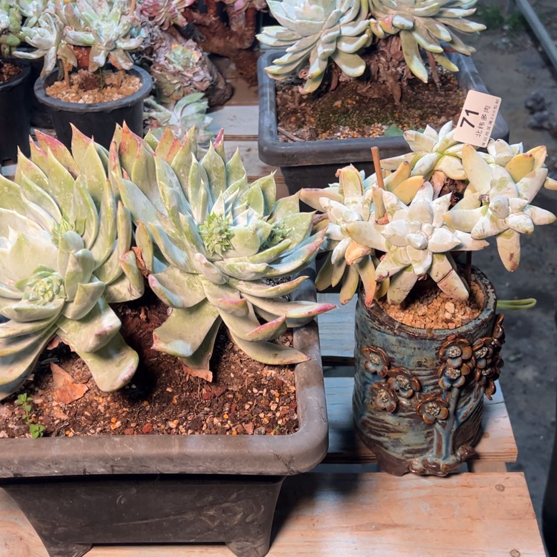 2*两颗080哈哈哈哈哈哈哈